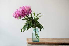 How do you make flower food for cut flowers. Cut Flower Preservative Recipes