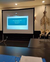 Profile for Kine in Form