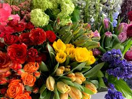 Check spelling or type a new query. Potomac Floral Wholesale Home Facebook