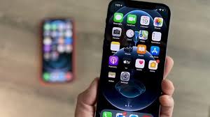 Voting By Phone An Option For Some In B C Election News 1130