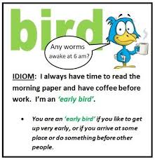 Pin On English Idioms Slang Proverbs And Such