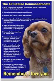 10 Canine Commandments Canine Dog Poster Puppies And Kitties