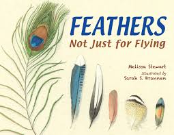 Feathers Not Just For Flying Amazon Co Uk Melissa Stewart