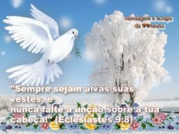 images?q=tbn:ANd9GcSctzVqDT7rF9-aJUU9CX_