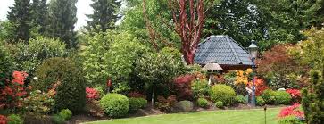 Gartengestaltung Rhododendron Und Buchsbaumkugeln In Grossensee Gartengestaltung Buchsbaumkugel