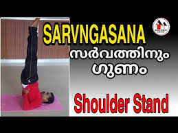 How To Do Sarvangasana Shoulder Stand And Its Benefits In Malayalam Youtube