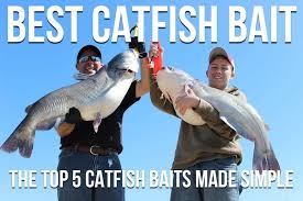 Your mom may call you a sleepy head and your dad may call you. Best Catfish Bait The Top 5 Catfish Baits Made Simple
