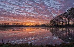This page lets you beautiful we share the best of 54 louisiana wallpapers available for download for free. Wallpaper The Sky Water Clouds Trees Sunset Surface Reflection River Shore The Evening Usa Louisiana Images For Desktop Section Priroda Download