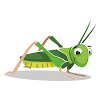 Grasshopper tutorials essentials bundle contains 13:14 hours of tutorials in the following 5 video courses with value 105€ +vat saving 65.40€ for grasshopper tutorials 1