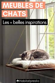 Meubles Pour Chats 6 Idees Pour S Inspirer Astuces Pour Chat Etagere Pour Chat Bricolage Pour Chat