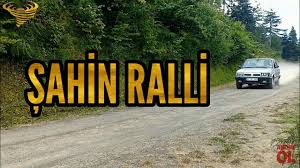 Sahin Ralli Highway Signs