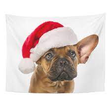 Brown Christmas Cute Little French Bulldog Santa Claus Hat Red Bull Dog Pet Wall Art Hanging Tapestry 60x80 Inch French Bulldog Dog Lovers Christmas Cute White Puppies