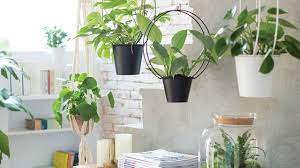 Maybe you would like to learn more about one of these? Petit Jardin D Interieur Nos Conseils Pour Le Creer Cote Maison