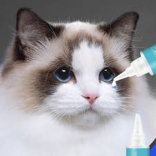 When it comes to products like eye drops, it is important to only use products designed specifically for pet use. L2 Terramycin Eye Ointment Cats Cat Eye Antibiotics 60ml Pet Eye Care Cleaner Drops Tear Stain Removing Dirt Anti Inflammatory Bactericidal Puppy Kitten Clean Supplies Lazada Ph