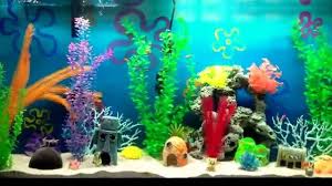 The Best Spongebob Aquarium Spongebob Fish Tank Fish Tank Themes Aquarium Fish Tank