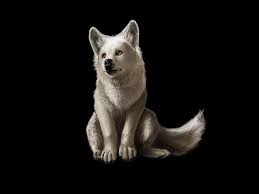 Download for free on all your devices computer smartphone or tablet. Animated Wolf Wallpapers Group 65