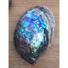 The chakras linked to the shell of abalone are the third eye, the crown, and the heart. Abalone Shell Large And Xl Shopee Philippines