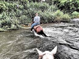 Short ride is a online game created by the game studio gametornado. Conde Nast Cowgirl Review Of Centaura Day Horseback Riding Tours La Fortuna De San Carlos Costa Rica Tripadvisor