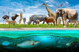 Aug 18, 2021 · hewan dan tumbuhan merupakan dua makhluk hidup yang berbeda. 50 Hewan Dan Tumbuhan Langka Di Indonesia Beserta Daerah Asalnya Petani Digital