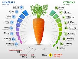 carrot nutrition medicinal uses of carrots