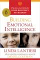 The Extra Ingredient to IQ: Emotional Intelligence