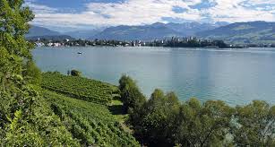 In this guide, we've reviewed our full collection of hikes and walking routes in st. Schweiz St Gallen