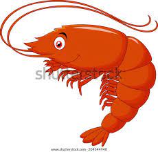Gambar udang kartun ala model kini. 33 Gambar Kartun Udang Gambar Kartun Hd