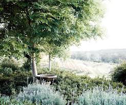 The most striking salvias have masses of showy blue or. Frost Protection For Plants Practical Steps You Can Take Homes To Love