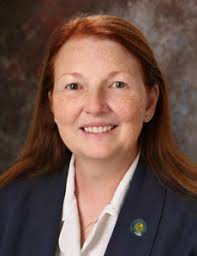 Annual Report for Fiscal Year 2020