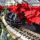 2025 Greenhouse Train & Trolley Show event in West Hartford, CT