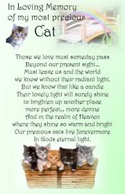 This 'rainbow bridge' webpage is a gallery of remembrance where much loved pets that are sadly no longer with us can be celebrated. Cat Sympathy Poems Quotes Quotesgram