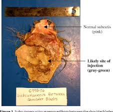 Sensitive collies show reactions at 1/200th of the dose required to show toxicity in other dogs 2. Esi Ms Ms Confirmation Of Canine Ivermectin Toxicity Semantic Scholar