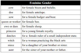 Genders Of Nouns Feminine