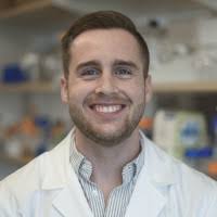 300+ "Stratton" profiles