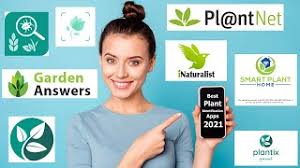 Among our favorites are plantsnap, plantnet, blossom, and plantyx. 19 Best Plant Identification Apps For 2021 Balcony Garden Web