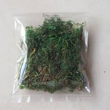Anda boleh guna kreativiti masing2. Rumput Kering Viral Untuk Hiasan Gubahan Bunga Orkid Shopee Malaysia