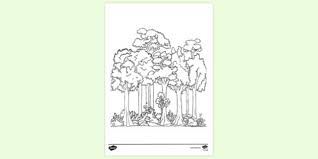 Rainforests of the world worksheet. Free Rainforest Colouring Page Colouring Sheets