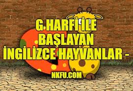 G Harfiyle Baslayan Ingilizce Hayvanlar Nkfu