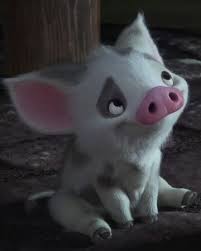 But the question is why now, earlier there was no such detection and now mostly many apps started showing android.pua.debugkey so what changed? Pua Disney Wiki Fandom