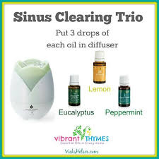 Pin On Youngliving