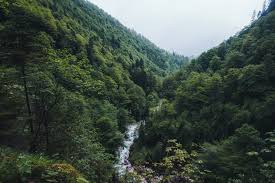 Der reißende wildbach hammersbach zeigt sich. Wanderung Durch Die Hollentalklamm Binmalkuerzweg