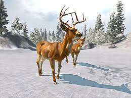 Like and subscribe for part 2 cabelas big game hunter pro hunts part 1 walkthrough playthrough gameplay let's play. Download Cabela S Big Game Hunter Trophy Bucks Full Pc Game