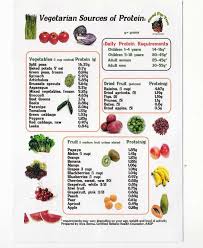 Meatlessly Mouthwatering Protein Plant Based Sources