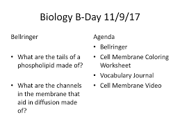 Cell membrane location and description, cell membrane labeled simple, cell membrane location structure and function. Biology B Day 11 9 17 Bellringer Ppt Download