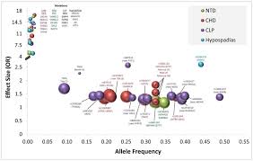 Maybe you would like to learn more about one of these? Developments In Our Understanding Of The Genetic Basis Of Birth Defects Abstract Europe Pmc