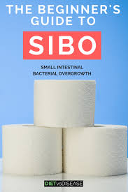 The Beginners Guide To Sibo Antibiotics And Diet