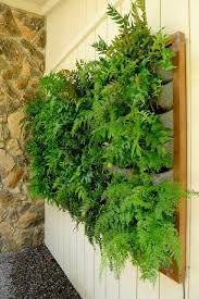 Plants On Walls Vertical Garden Systems Vertikaler Garten Diy Haus Und Garten Garten