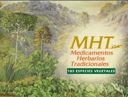 ¡mmmm, huele como los domingos de mi niñez cuando mi padre cortaba el pasto! Libro Guia De 103 Plantas En Chile Sobre Propiedades Medicinales Agronomica Y Culinaria Territorio Ancestral