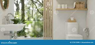 现代白洁卫浴室内饰设计与厕水龙镜窗库存例证. 插画包括有组织, 豪华, 干净, 现代, 水槽, 设计- 272610585