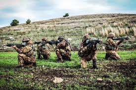 Decreto del presidente della repubblica 15 marzo 2010 , n. L Esercito Italiano Recluta Vfp Il Bando Mediterranews